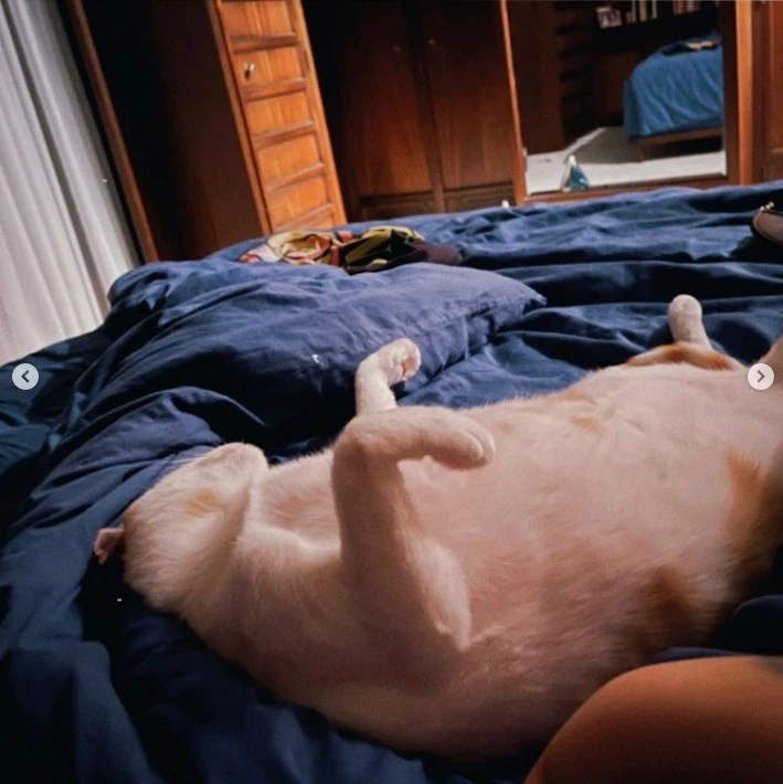 Danla Biliç'i kahreden haber! "Çok erken bıraktın beni..."